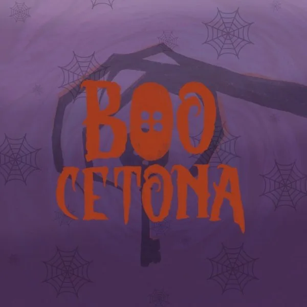Boocetona