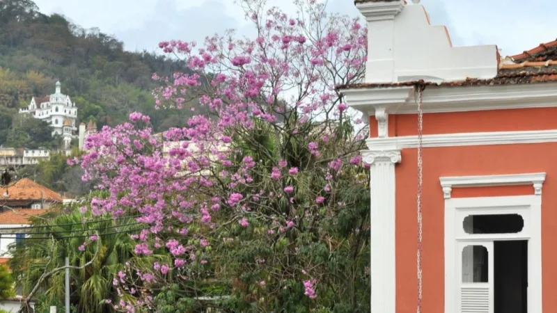 Visitação Diária